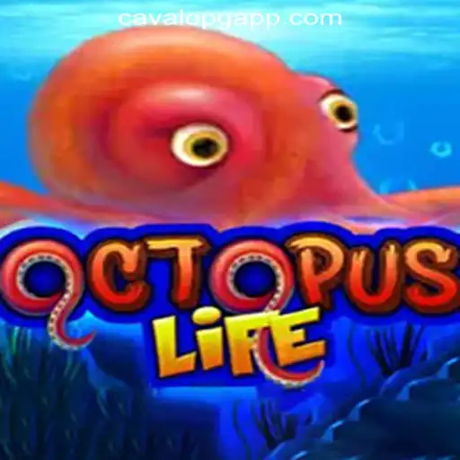Explore OctopusLife: The Underwater Adventure Taking Brazil by Storm